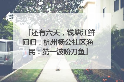 还有六天，钱塘江鲜回归，杭州杨公社区渔民：第一波盼刀鱼