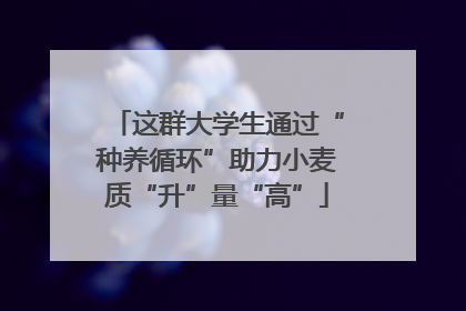 这群大学生通过“种养循环”助力小麦质“升”量“高”