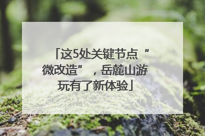 这5处关键节点“微改造”，岳麓山游玩有了新体验