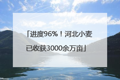 进度96%！河北小麦已收获3000余万亩