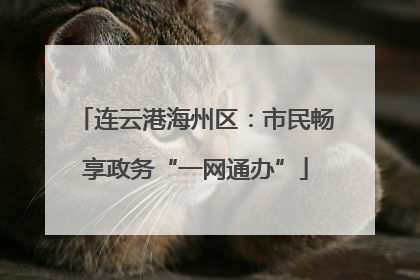 连云港海州区：市民畅享政务“一网通办”