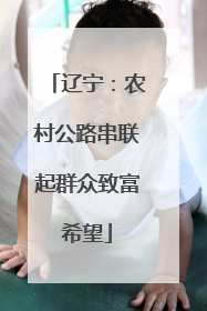 辽宁：农村公路串联起群众致富希望