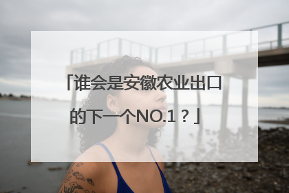 谁会是安徽农业出口的下一个NO.1？