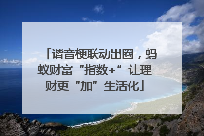 谐音梗联动出圈，蚂蚁财富“指数+”让理财更“加”生活化