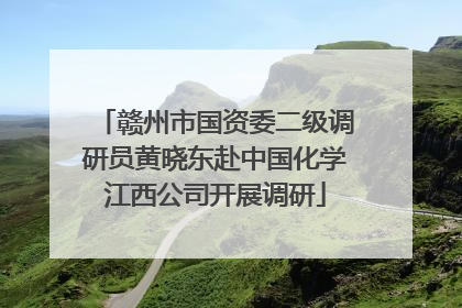 赣州市国资委二级调研员黄晓东赴中国化学江西公司开展调研