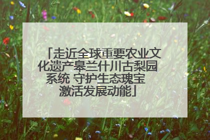 走近全球重要农业文化遗产皋兰什川古梨园系统 守护生态瑰宝 激活发展动能