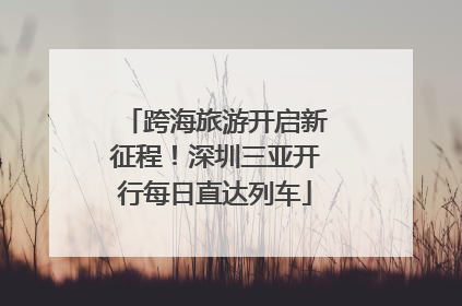 跨海旅游开启新征程！深圳三亚开行每日直达列车