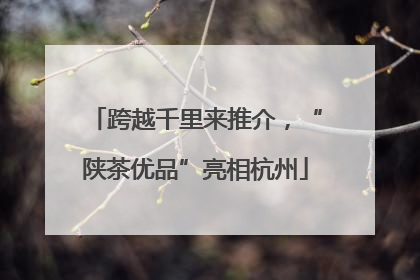 跨越千里来推介，“陕茶优品”亮相杭州