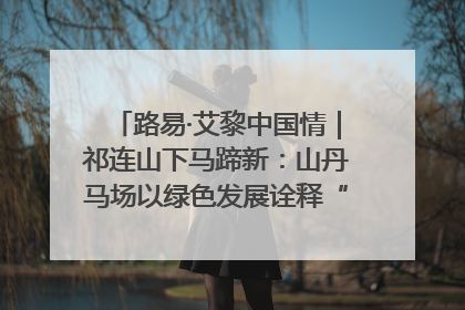 路易·艾黎中国情｜祁连山下马蹄新：山丹马场以绿色发展诠释“两山”理论实践