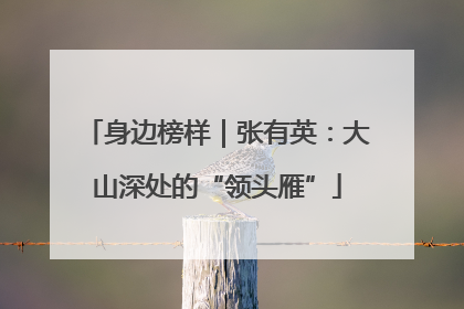 身边榜样｜张有英：大山深处的“领头雁”