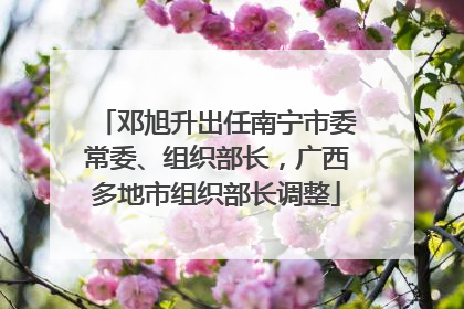 邓旭升出任南宁市委常委、组织部长，广西多地市组织部长调整