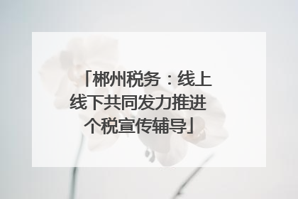 郴州税务：线上线下共同发力推进个税宣传辅导