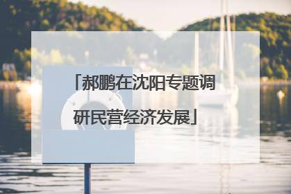郝鹏在沈阳专题调研民营经济发展