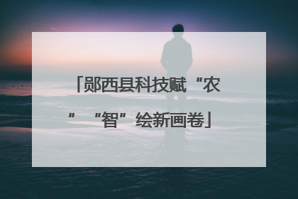 郧西县科技赋“农”“智”绘新画卷
