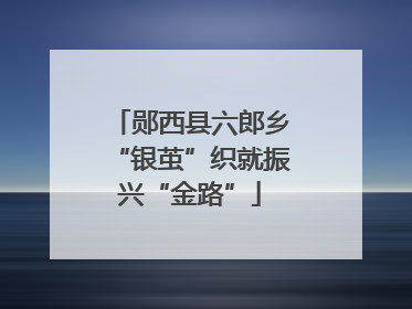 郧西县六郎乡“银茧”织就振兴“金路”