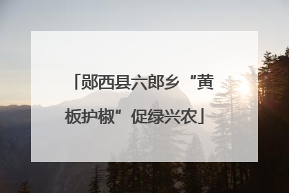 郧西县六郎乡“黄板护椒”促绿兴农