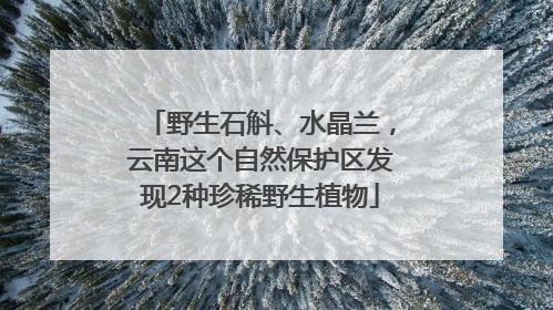 野生石斛、水晶兰，云南这个自然保护区发现2种珍稀野生植物