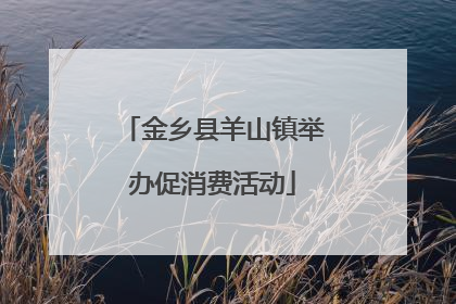 金乡县羊山镇举办促消费活动