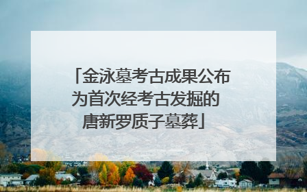 金泳墓考古成果公布 为首次经考古发掘的唐新罗质子墓葬
