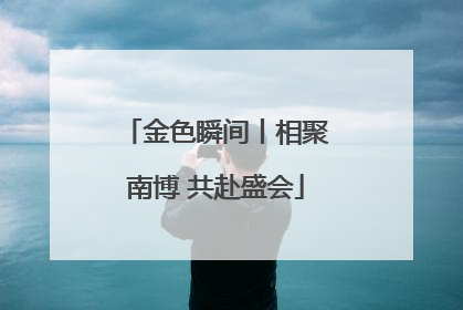金色瞬间丨相聚南博 共赴盛会