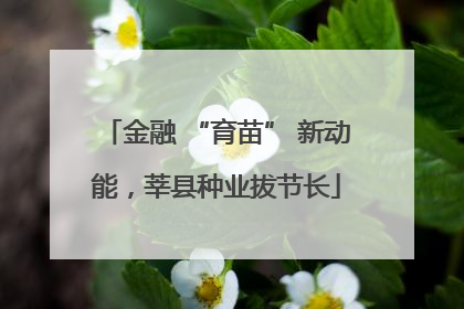 金融 “育苗” 新动能，莘县种业拔节长
