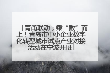青甬联动，乘“数”而上！青岛市中小企业数字化转型城市试点产业对接活动在宁波开班