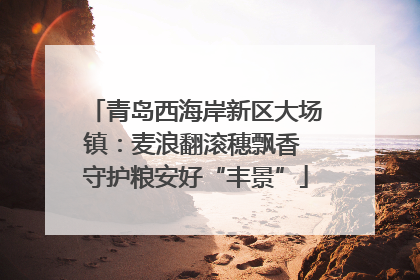 青岛西海岸新区大场镇：麦浪翻滚穗飘香 守护粮安好“丰景”