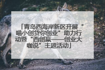青岛西海岸新区开展“喵小创贷你创业”助力行动暨“西创赢——创业大咖说”主题活动