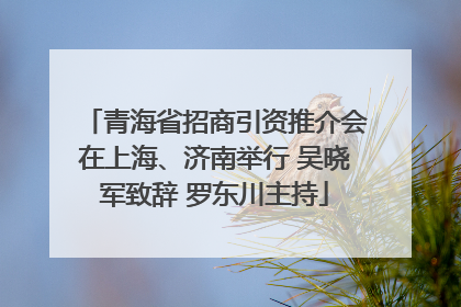 青海省招商引资推介会在上海、济南举行 吴晓军致辞 罗东川主持