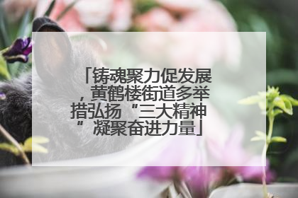 铸魂聚力促发展，黄鹤楼街道多举措弘扬“三大精神”凝聚奋进力量