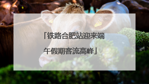 铁路合肥站迎来端午假期客流高峰