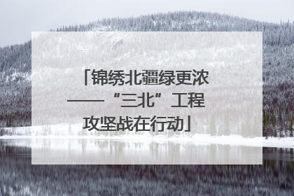 锦绣北疆绿更浓——“三北”工程攻坚战在行动