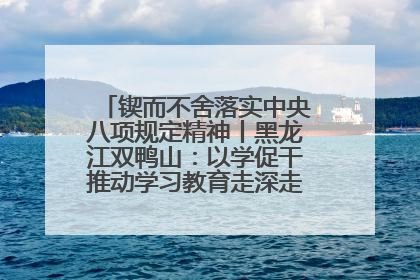 锲而不舍落实中央八项规定精神丨黑龙江双鸭山：以学促干推动学习教育走深走实 从小事入手写好“民生答卷”