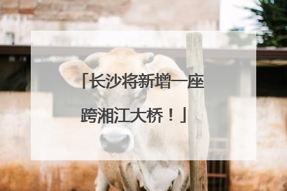 长沙将新增一座跨湘江大桥！
