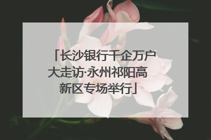 长沙银行千企万户大走访·永州祁阳高新区专场举行