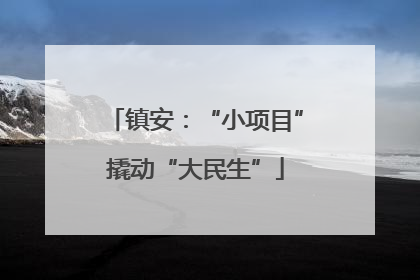 镇安：“小项目”撬动“大民生”