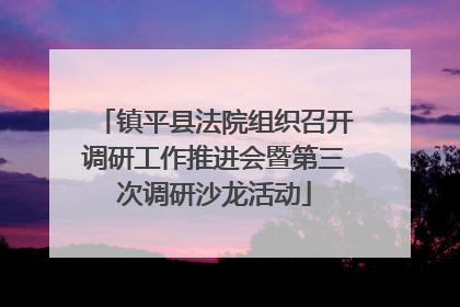 镇平县法院组织召开调研工作推进会暨第三次调研沙龙活动