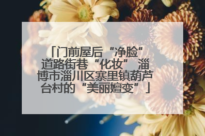 门前屋后“净脸” 道路街巷“化妆” 淄博市淄川区寨里镇葫芦台村的“美丽嬗变”