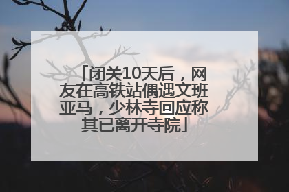 闭关10天后，网友在高铁站偶遇文班亚马，少林寺回应称其已离开寺院
