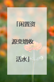 闲置资源变增收活水