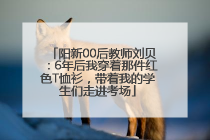 阳新00后教师刘贝：6年后我穿着那件红色T恤衫，带着我的学生们走进考场