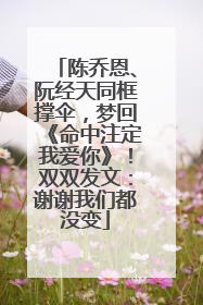 陈乔恩、阮经天同框撑伞，梦回《命中注定我爱你》！双双发文：谢谢我们都没变