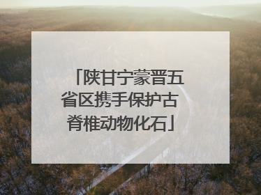陕甘宁蒙晋五省区携手保护古脊椎动物化石