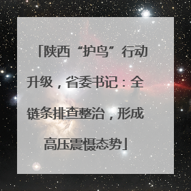 陕西“护鸟”行动升级，省委书记：全链条排查整治，形成高压震慑态势