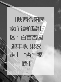 陕西合阳同家庄镇柏瑞社区：百亩杏园迎丰收 果农走上“杏”福路