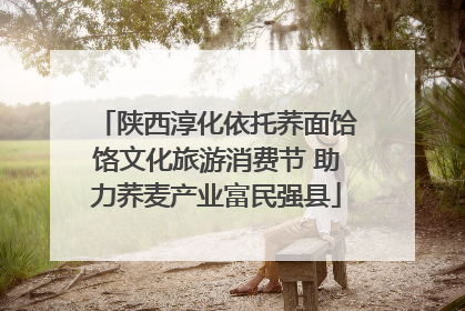陕西淳化依托荞面饸饹文化旅游消费节 助力荞麦产业富民强县