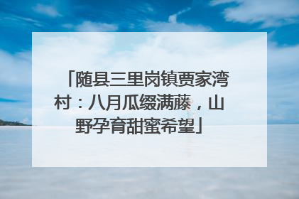 随县三里岗镇贾家湾村：八月瓜缀满藤，山野孕育甜蜜希望