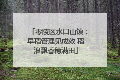 零陵区水口山镇：早稻管理见成效 稻浪飘香穗满田