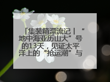 集装箱漂流记丨“地中海亚历山大”号的13天，见证太平洋上的“抢运潮”与“过剩潮”