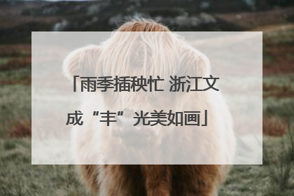 雨季插秧忙 浙江文成“丰”光美如画